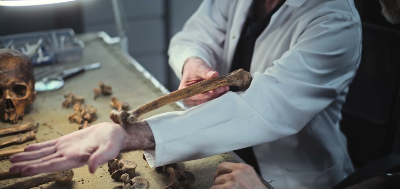 A researcher examining ancient bones laid out on a table