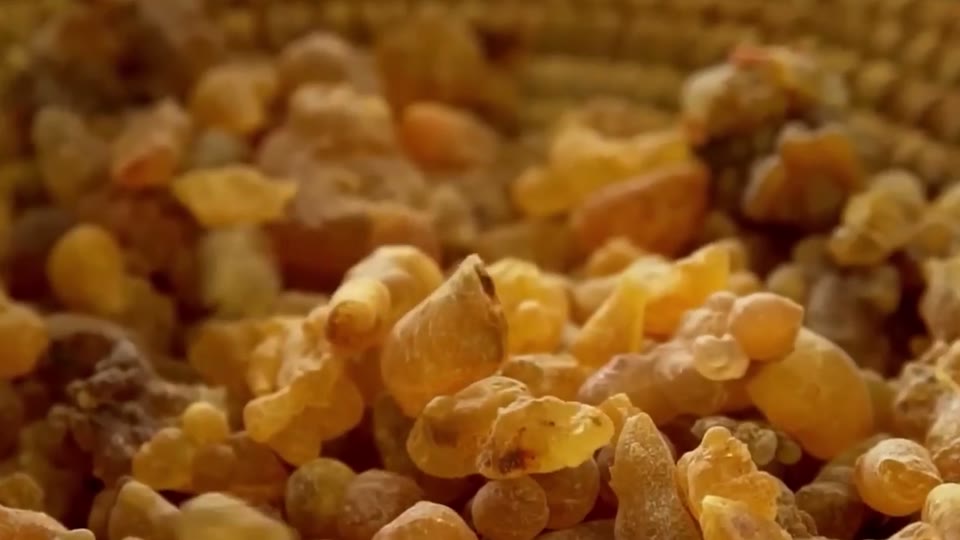 Dried grains of boswellia resin