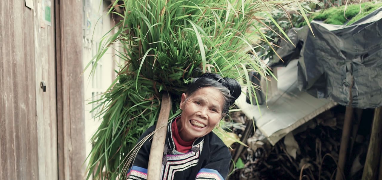 An elderly woman carrying a bundle of plants, smiling